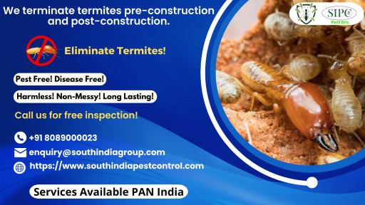 SIPC offers termite control in Goa, we have a team of qualified and experienced professionals who will carry out the necessary treatment to get rid of the termites.  So, if you are looking for reliable and effective termite control services in Goa, then SIPC is the right choice for you. Reach us today at +91 8089000023 to get a free quote!

Visit: https://www.southindiapestcontrol.com/termite-control-goa/