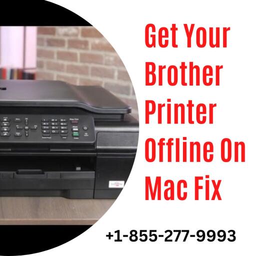 If your device Brother Printer Offline on Mac cannot connect. Do not worry! Our printer specialists are available and ready to provide immediate assistance with step-by-step troubleshooting guidance. Numerous factors, including problems with wireless networks, internet connectivity, and printer driver software, prevent a brother printer offline Mac from being used on a Mac. Call our number +1-855-277-9993 and get instant solutions for any brother printer-related issue.

Visit at: https://printererrorcode.com/blog/brother-printer-offline-on-mac/