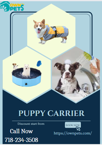Do you want to find the best puppy carrier service in the USA? You may want to consider Ownpets as an option. Find the best puppy carriers at the best prices. Ownpets offers a wide variety of pet products for you to choose from. Call us today at 718-234-3508 to learn more 

Visit our website - https://ownpets.com/collections/dog-bags-carries-strollers