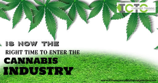 The cannabis industry is becoming more popular than ever. Get a clear picture of the cannabis market and how to find opportunities and make smart decisions.  

Reference: https://www.illinoiscannabistrainingcenter.com/is-now-the-right-time-to-enter-the-cannabis-industry

#cannabistraininginIllinois
#dispensarytraining
#dispensarytraininginIllinois
#dispensaryjobsillinois
#CannabisinIllinois
#JobsincannabisinIllinois
#DispensaryjobsinIllinois
#Illinoisdispensary
#Illinoiscannabislicenses
#Illinoiscannabiscertification
#Illinoiscannabiscompanies