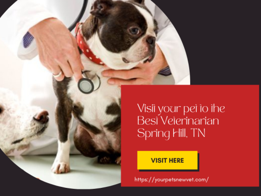 Pets are important not only for the sake of their lives but also for ours. Routine care prevents them from severe disease and lets them live better life. If you are looking for the best veterinarian Spring Hill, TN, visit here.
https://yourpetsnewvet.com/