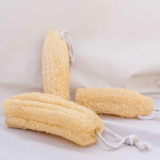 Eco-friendly lifestyles couldn't get any cleaner! Use our natural organic scrubber for your deep cleansing needs during daily showers that help to prevents bacterial growth on your skin.

https://goingzero.in/products/natural-organic-loofah-pack-of-3