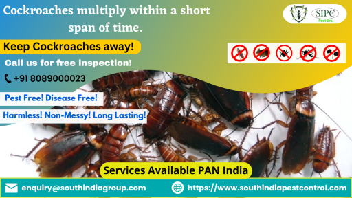 If you are looking for a reliable and professional cockroach control service in Goa, then you have come to the right place. SIPC offers a wide range of cockroach control services that are designed to suit your specific needs and requirements. Call us now at +91 8089000023!

Visit: https://southindiapestcontrol.com/cockroach-control-goa/