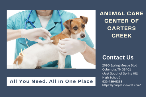 To prevent, control, diagnose and cure diseases that affect the health of your pets. If you are looking for the best vet clinic Spring Hill TN, then you can visit here.
https://yourpetsnewvet.com/