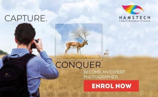 If you are wondering about how to become a professional photographer, check out here and learn how to be a photographer. Enrol in Hamstech Photography Courses
