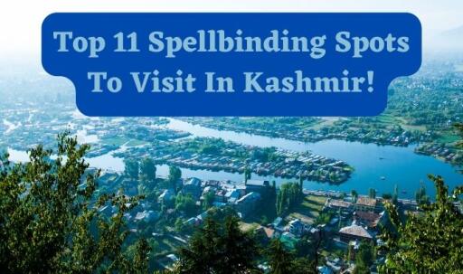 Go through this to learn about those breathtakingly beautiful places in Kashmir that await your footsteps! Know more https://chutii.com/blog/top-11-spellbinding-spots-to-visit-in-kashmir