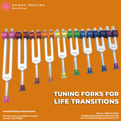 Hawaii Healing Sound School furnishes a set of 8 crystal tuning fork along with strikers in a high-quality padded metal carry case to rejuvenate your aura. For more visit: https://www.hawaiihealingsoundschool.com/product/8-crystal-singing-pearls-tuning-forks-free-training-videos-from-jill-mattson/