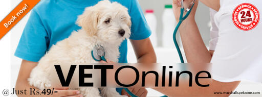 Veterinarian standing up by your side for 24*7 at your service. Get answer for all your pet-related questions with the trusted and guaranteed advice. Do not worry about your pet's health anymore.  You can book an appointment with the vet in just Rs. 49/- (valid for 2 consultations). Pay Rs.49 To Ask A Vet Online; Experience The Best Veterinary Advice In Just One Click.