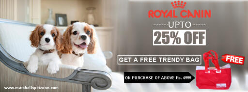 Every pet parent wants to give their pet effective nutrition. And what if we provide nutrition and great discounts altogether. So what are you waiting for? Start the shopping...Up to 25% OFF On ROYAL CANIN & Also Grab A Free Royal Canin Bag. Deal Like Never Before.For more details please visit our website:https://www.marshallspetzone.com/118-food#/manufacturer-royal_canin or contact us: 8106360786