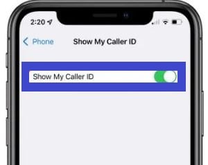 how-to-private-number-on-iphone