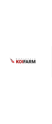 We have the best selection of koi for sale in California, and we have a small family run business, and with our experience, we produce the best of koi for our customers. https://www.wholesalekoifarm.net/