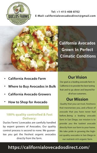 Duclos Farms brings to you the best avocados growers in Florida that too at an affordable price. Duclos Farms produces the Lovecado™, a special and unique Florida avocado. Similar to producing wine from the vineyard, the land and soil will ultimately affect the flavor of the wine. We believe the same is true in growing avocados. To know more about us please visit at: https://californialovecadosdirect.com/