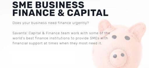 Savants offer independent advice on a range of financial solutions explicitly aimed at SME business finance. Get the best Confidential Invoice Discounting & financial solutions for strategic change with financial management consultancy.