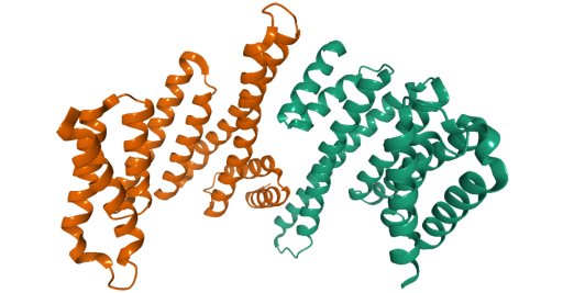 The product, that consists of an A chain of 2,000 daltons linked by a sulfhydryl bond to a B chain of 30,400 daltons. Recombinant urokinase plasminogen activator.	Low molecular weight form of human urokinase	
https://www.creativebiomart.net/therapeutic-proteins/p/21/low-molecular-weight-form-of-human-urokinase/