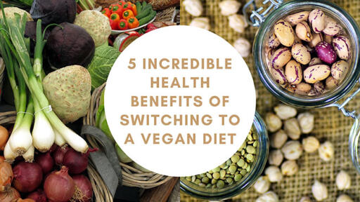 If you’re wondering whether you should switch to a Vegan-based diet and need a bit of a push, well, over here, you will discover the amazing health benefits of a vegan diet. 

Web:- https://www.plantbasedcookbook.com/5-incredible-health-benefits-of-switching-to-a-vegan-diet/