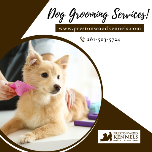 Preston Wood Kennels offers the best dog grooming services in Houston to properly groom them for the healthy wellbeing of your dog. For more information call us 281-503-5724 and visit our website.