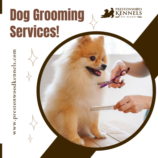 Preston Wood Kennels offers professional dog grooming services in Houston & Willowbrook to maintain your dog clean and pretty. For more information call us at 281-503-5724 and visit our website.