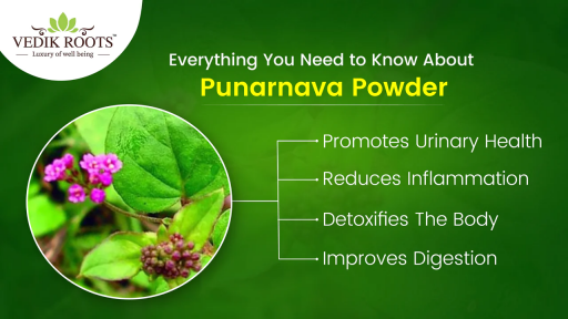 Punarnava powder, derived from the Punarnava plant (Boerhavia diffusa), is known for its various health benefits and traditional uses in Ayurvedic medicine.