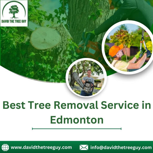 Trust David The Tree Guy for expert tree removal service in Edmonton. With unmatched expertise and state-of-the-art equipment, we ensure safe and efficient tree removal tailored to your needs. Our skilled team prioritizes safety, leaving your property pristine. Choose us for delivering reliable solutions with a focus on customer satisfaction. To know more, contact us!
Visit us -https://www.davidthetreeguy.com/tree-removal