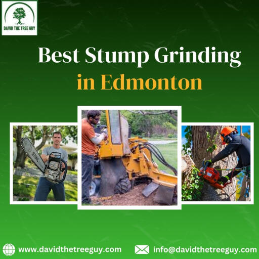 David The Tree Guy provides expert stump grinding in Edmonton. With a commitment to quality and efficiency, our team utilizes advanced equipment to safely and swiftly remove tree stumps, enhancing the aesthetics of your property. Whether you need stump grinding for a residential or commercial space, we ensure a professional and reliable solution, leaving your outdoor space clean and visually appealing.
Visit us -https://www.davidthetreeguy.com/services