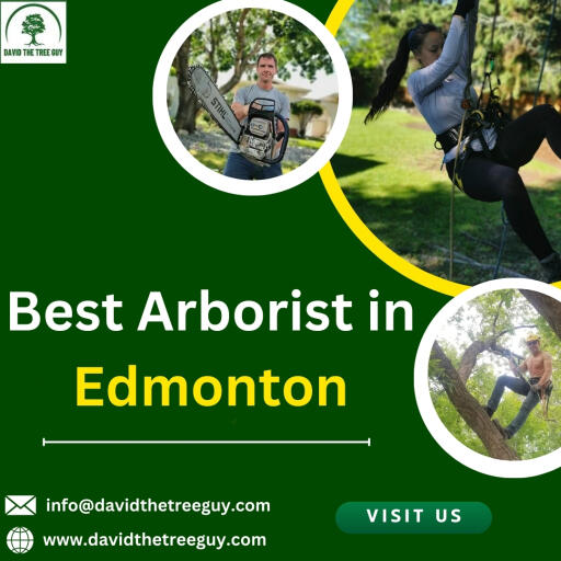 David The Tree Guy offers expert Arborist in Edmonton. Specializing in tree care, our arborists are highly skilled in pruning, removals, and overall tree health. With a focus on safety and environmental impact, we provide professional and reliable tree services to enhance the well-being and aesthetics of your outdoor space in the region.
Visit us -https://www.davidthetreeguy.com/services