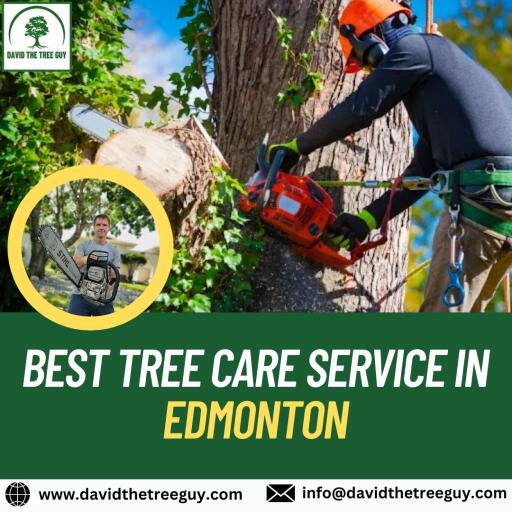 David The Tree Guy, trusted tree care service in Edmonton. With years of experience and a passion for arboriculture, we provide expert tree pruning, trimming, and removal services to keep your landscape healthy and beautiful. Whether it's routine maintenance or emergency tree care, we're committed to delivering professional results with a focus on safety and customer satisfaction. Contact us for tree care needs.
Visit us -https://www.davidthetreeguy.com/disease-diagnosis-treatment